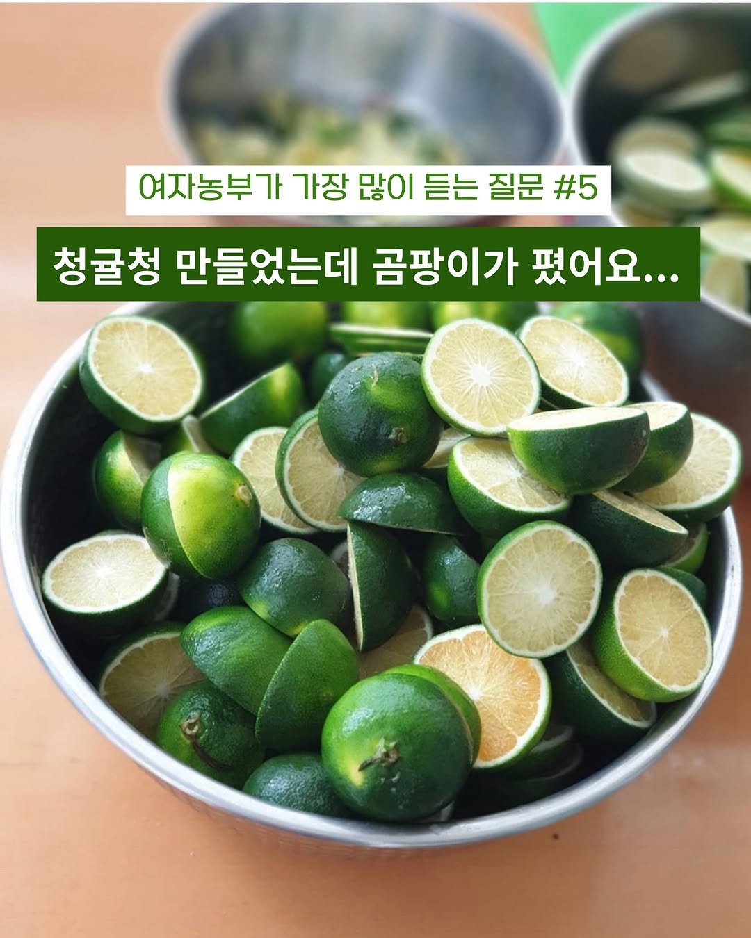 Photo by 제주맘스팜_이은미 on August 16, 2025. May be an image of pomelo, vegetable and text that says '여자농부가 가장 많이 듣는 질문 #5 청귤청 만들었는데 곰팡이가 폈어요...'.