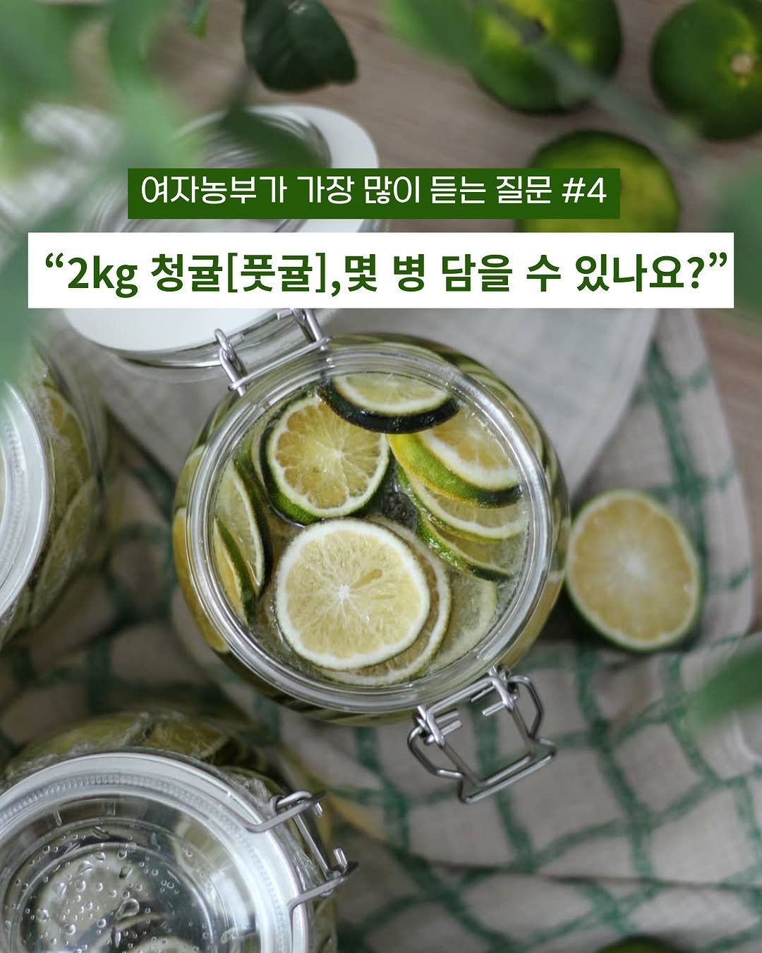 Photo by 제주맘스팜_이은미 on August 16, 2025. May be an image of vegetable, sparkling water, kitchenware and text that says '여자농부가 가장 많이 듣는 질문 여자농부가가장많이듣는질문#4 #4 "2kg 청귤[풋귤], 2kg청굴[풋굴],몇병담을 몇병 병 담을 수 있나요?" 몇'.