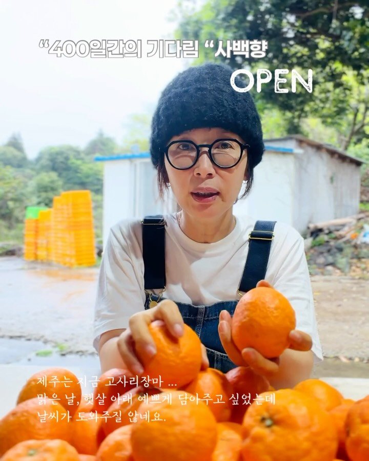 jeju_momsfarm 게시물 이미지: 제주는 요즘 내내 비. . . 고사리장마 . . 라고도 하죠😅

화창한 햇살 아래...