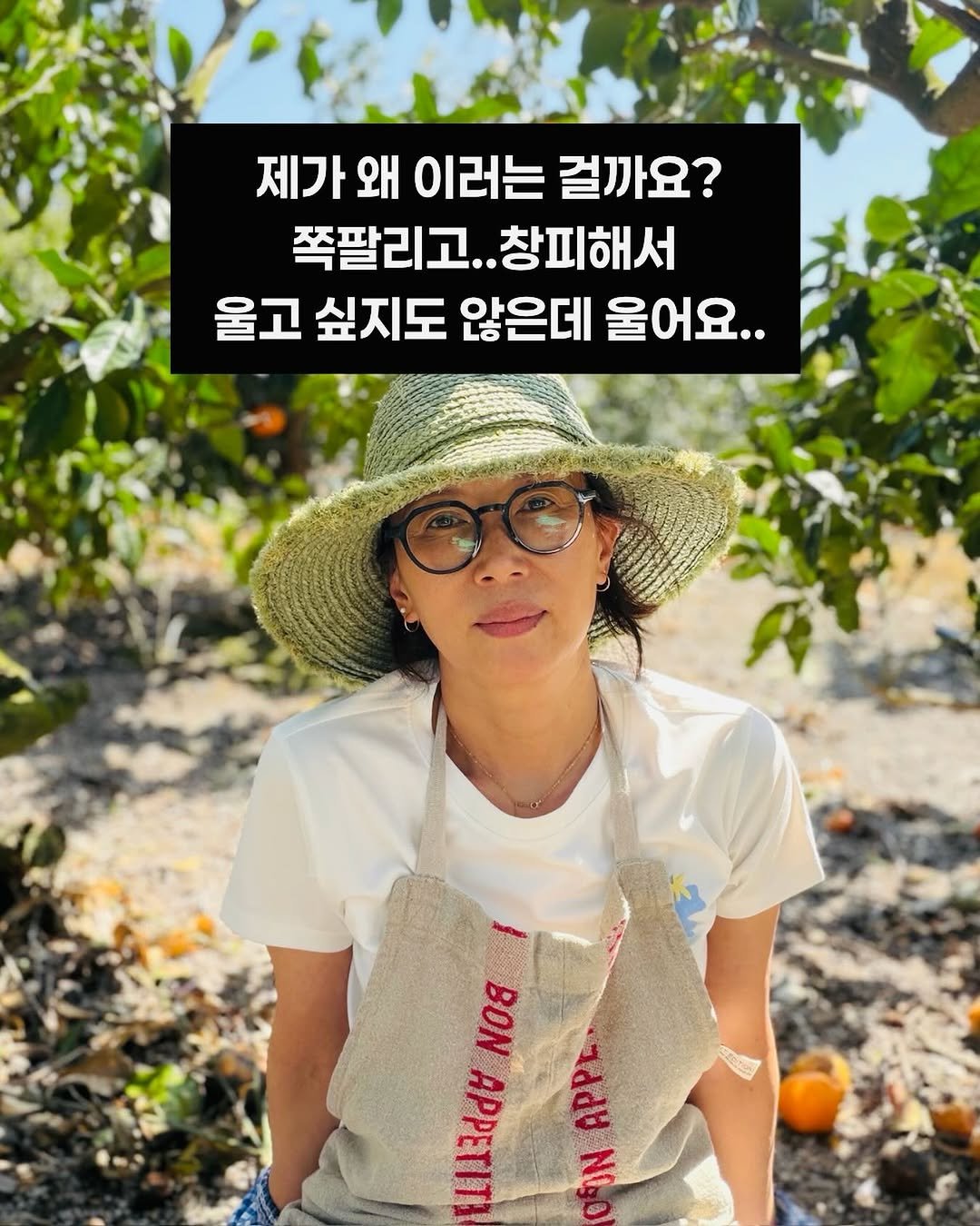 Photo by 제주맘스팜_이은미 on April 15, 2026. May be an image of pie, outdoors and text that says '제가 왜 이러는 걸까요? 쪽팔리고..창피해서 쪽팔리고.. 창피해서 울고 싶지도 않은데 울어요.. BBTET 13iddt BON NO'.