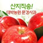 jdb5999 프로필 사진