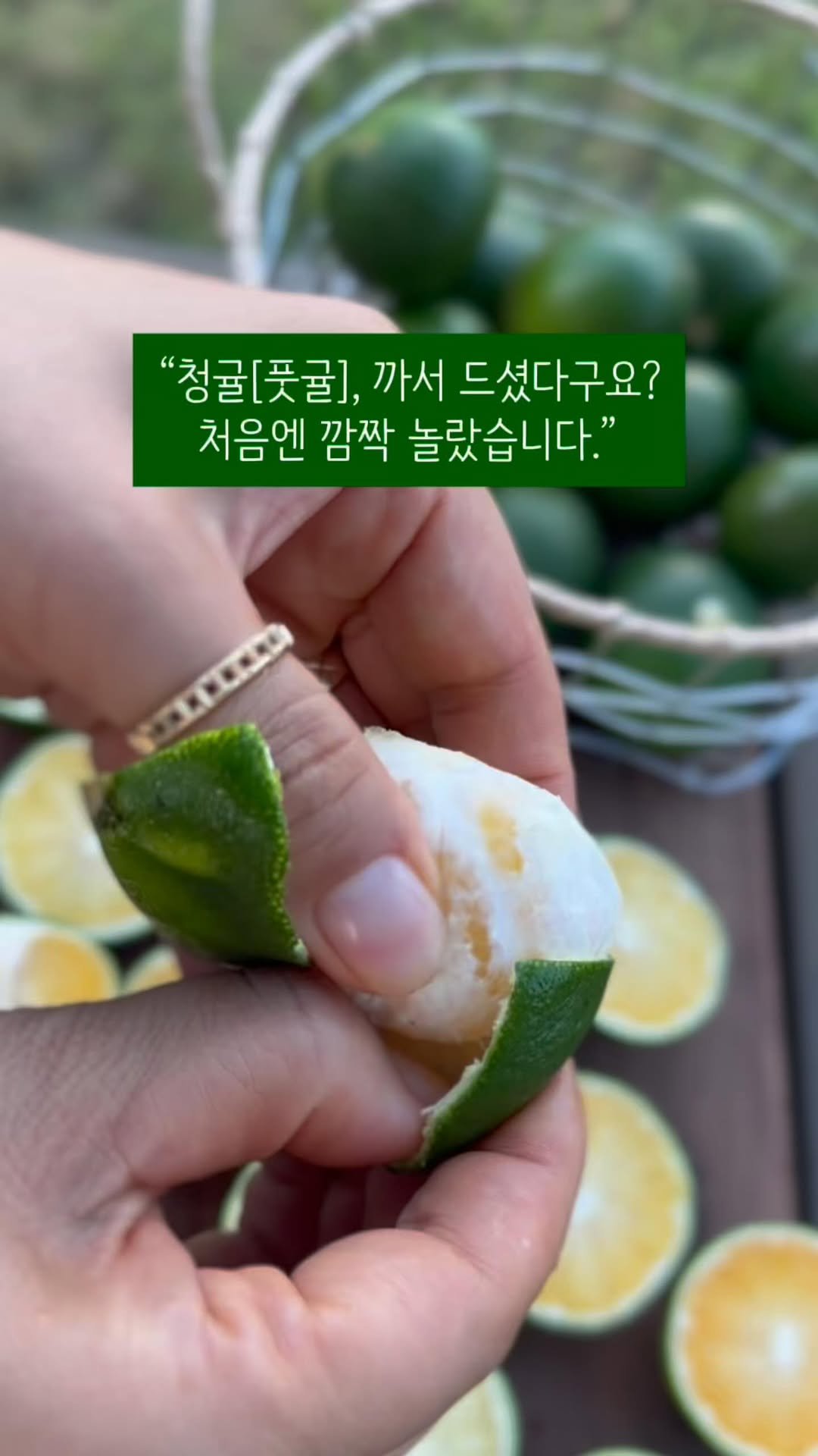 jeju_momsfarm 게시물 이미지: 처음 들었을 때, 정말 깜짝 놀랐습니다.
“청귤을 까서 드신다구요?”
사실...