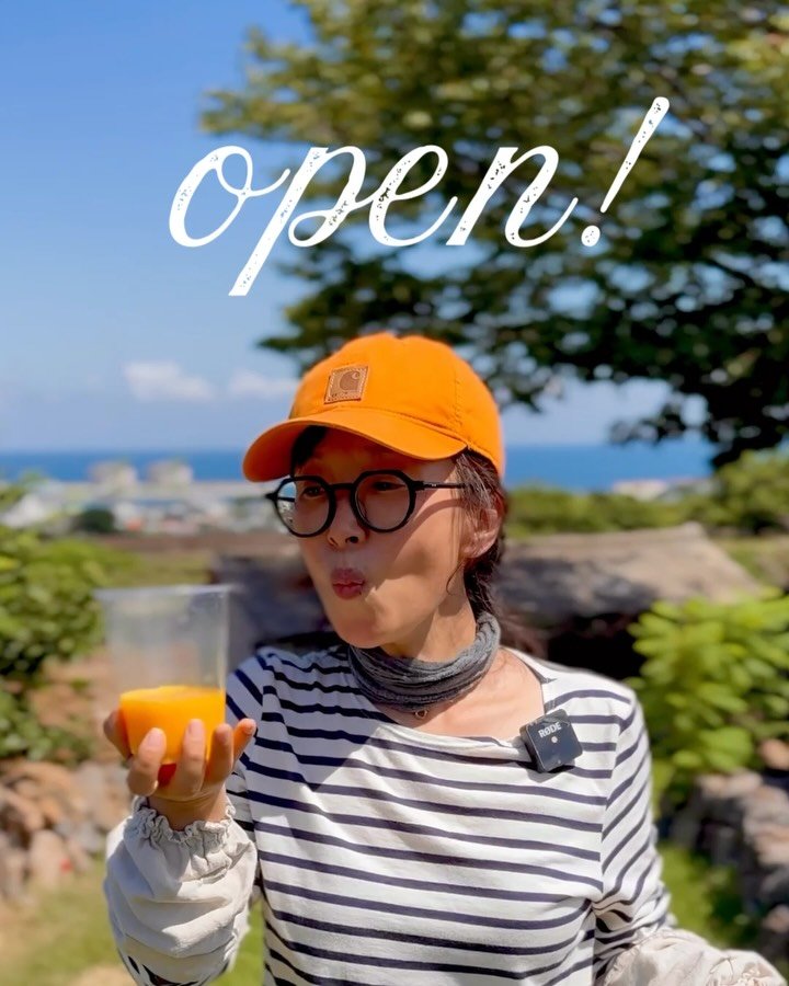 jeju_momsfarm 게시물 이미지: 제주의 아침은
하루를 가득 적셔내는 빗줄기 속에 열렸습니다.
그 사이로 여름은...
