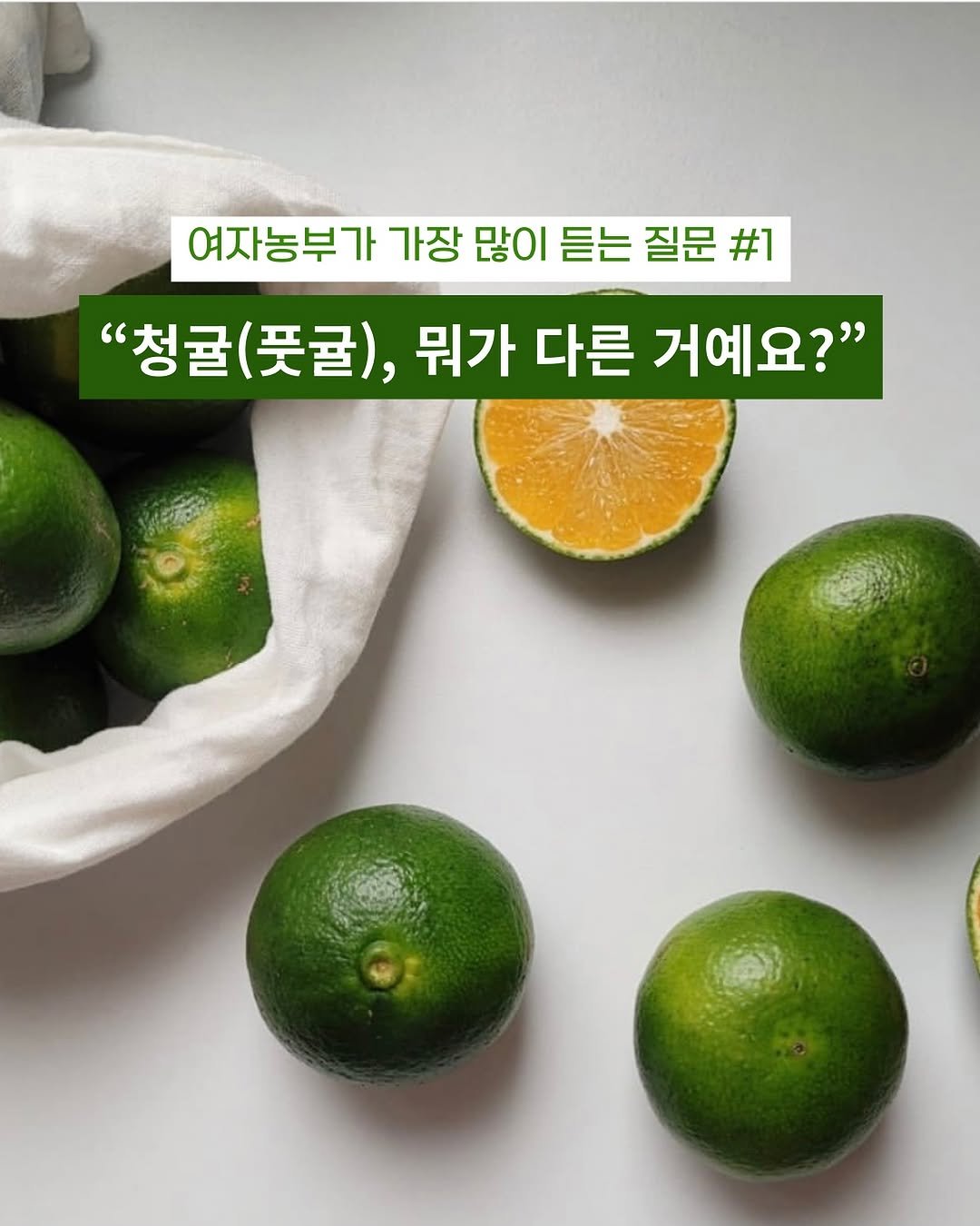 Photo by 제주맘스팜_이은미 on August 15, 2025. May be an image of pomelo and text that says '여자농부가 가장 많이 듣는 질문 여자농부가가장많이든는질문#1 #1 "청귤(풋귤), "청귤(풋굴),뭐가다른거예요?" "청귤( (풋귤), 뭐가 다른 거예요?"'.