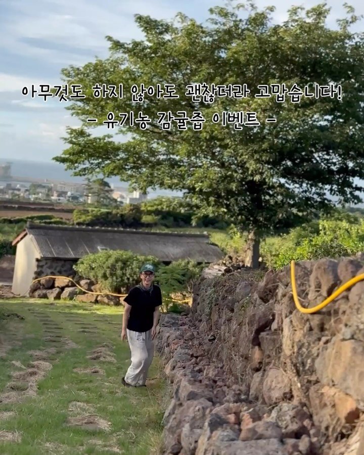 jeju_momsfarm 게시물 이미지: 아무것도 하지 않아도 괜찮더라 ,고맙습니다!
– 유기농 감귤즙 이벤트 –
빨간...
