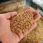 goosoo_in 프로필 사진