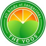 the_yoos_in_jeju 프로필 사진