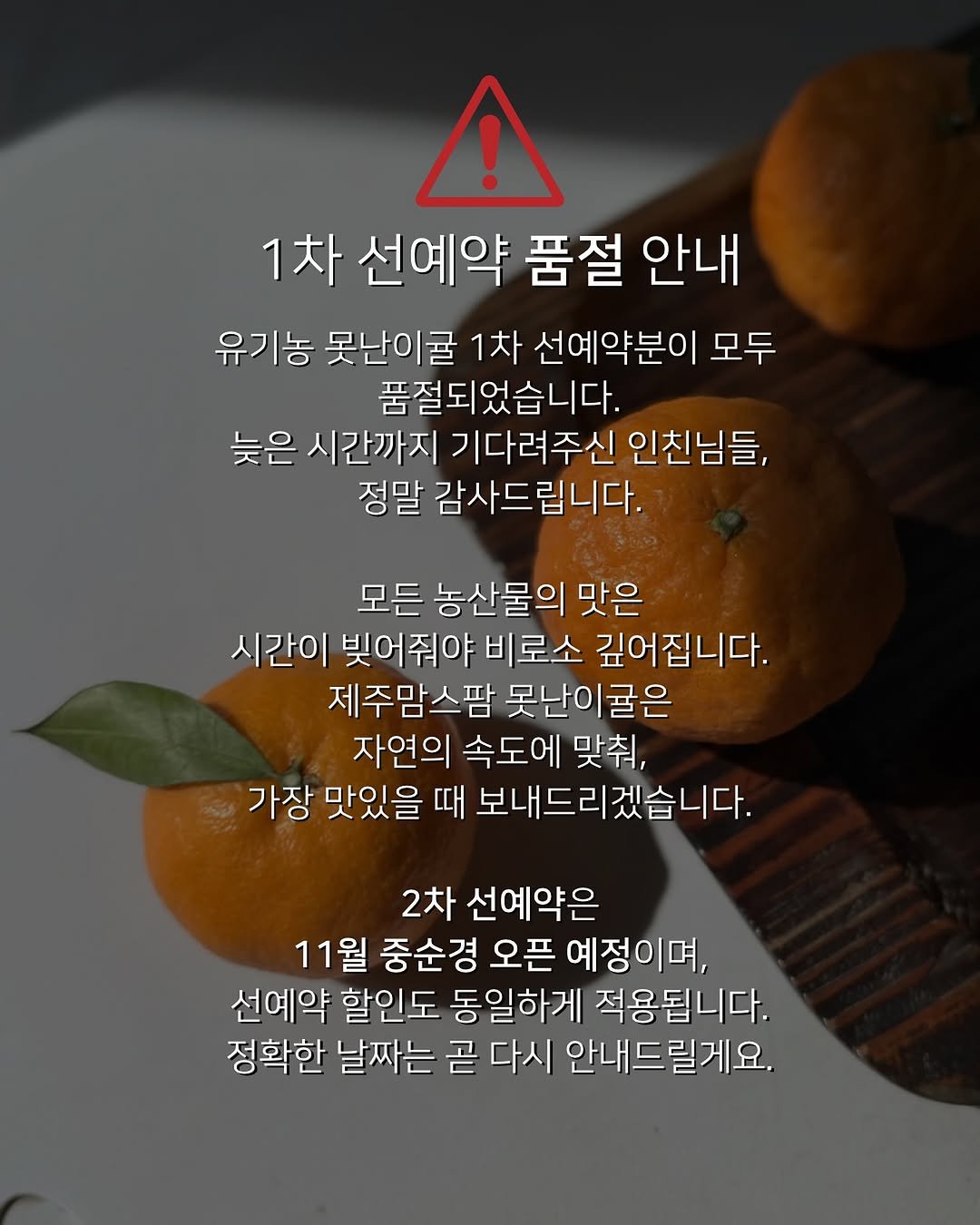 Photo by 제주맘스팜_이은미 on November 05, 2025. May be an image of turnover, pie and text that says '! 1차 선예약 품절 안내 유기농 농 못난이굴 1차 선예약분이 모두 품절되었습니다. 늦은 시간까지 기다려주신 인친님들, 정말 감사드립니다. 모든 농산물의 맛은 시간이 빚어줘야 비로소 깊어집니다. 제주맘스팜 못난이골은 자연의 속도에 맞춰, 가장 맛있을 때 보내드리겠습니다. 보내드리겠습니다 2차 선예약은 11월 중순경 오픈 예정이며, 선예약 할인도 동일하게 적용됩니다. 정확한 날짜는 곧 다시 안내드릴게요.'.