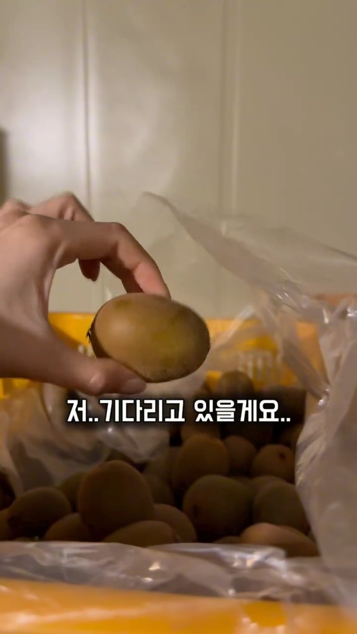 jeju_nonglog 게시물 이미지: ❌마감❌

[팔로워 이벤트] 키위 무료로 보내드립니다❗️

항상 멀리서 지켜봐...