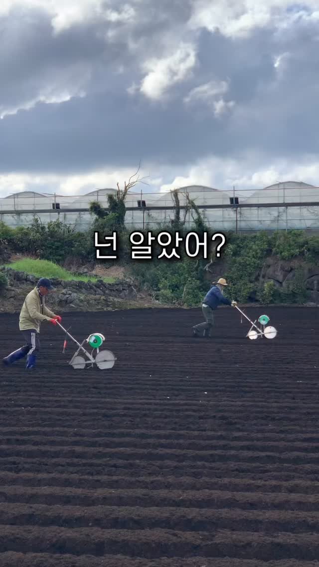 jeju_nonglog 게시물 이미지: 이건 몰랐을걸요?!

자전거 미는 것처럼 쉬울 줄 알았는데
돌이 많아서 삐뚤빼뚤...