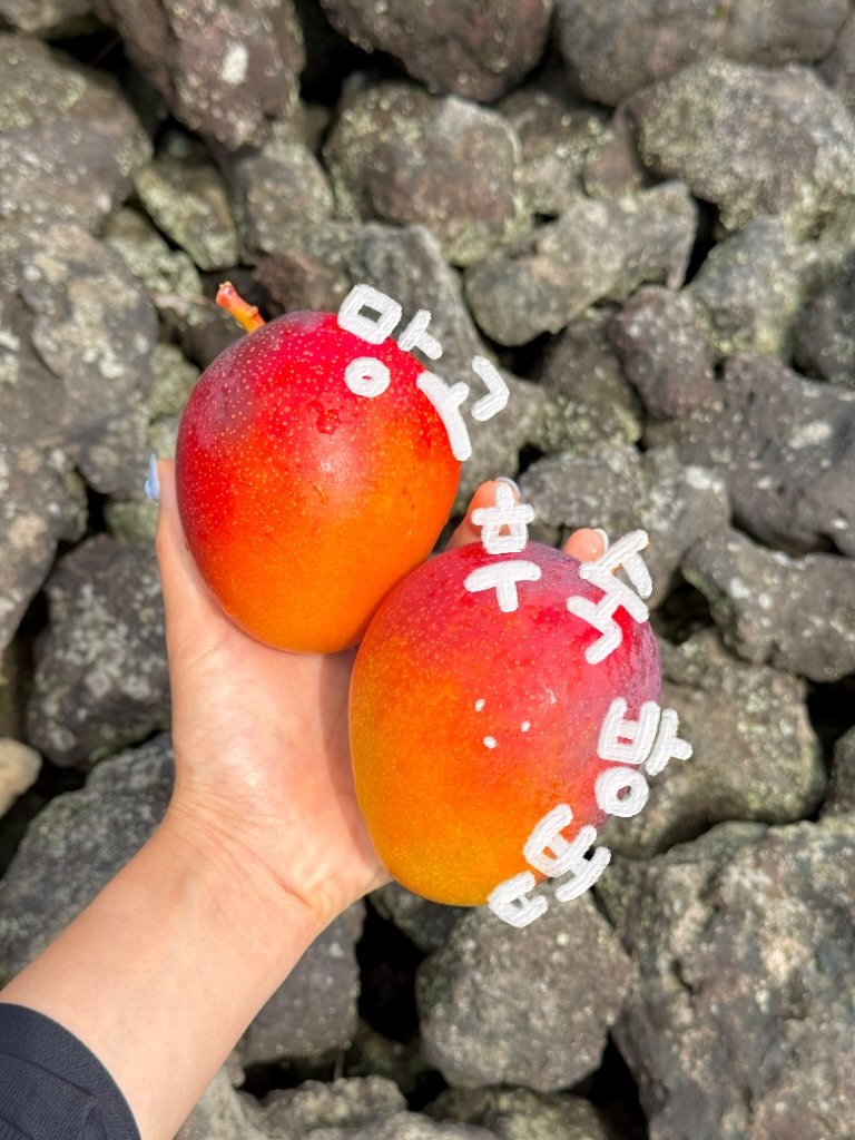 jeju_nonglog 게시물 이미지: 누구보다 과일에 진심인 농부라서
여러분도 저희 망고를 가장 맛있는 상태로 드셨으면...