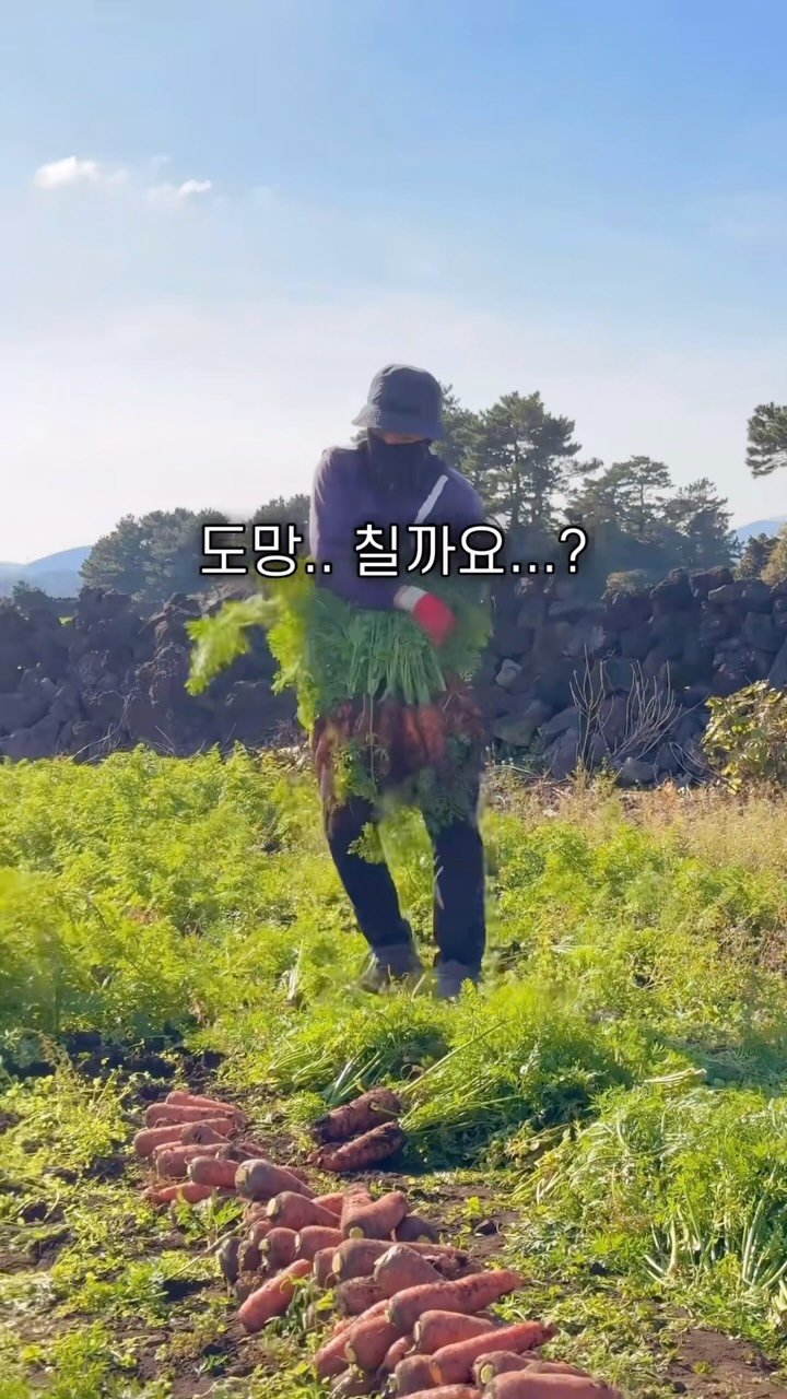 jeju_nonglog 게시물 이미지: 농부의 데이트란..☆
.
.
📨 다시 꺼내보고 싶다면 저장!
📩 함께 보고싶은...