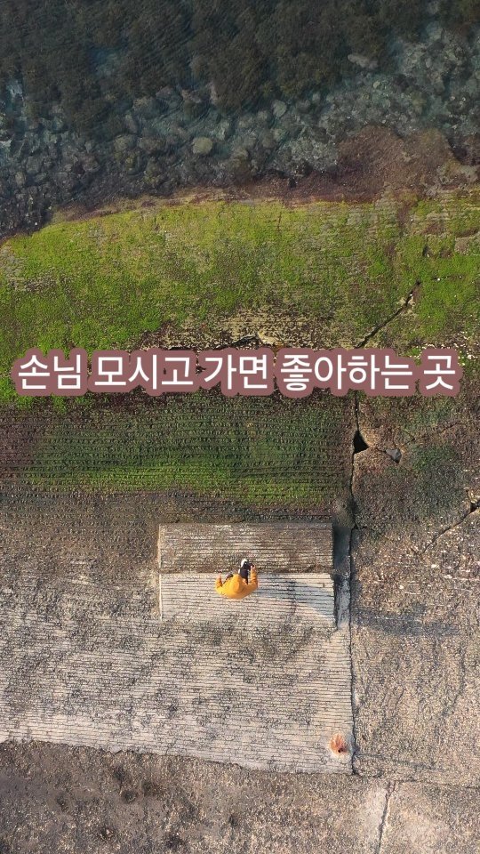 jeju_phototour 게시물 이미지: 투어 오신 분들 모시고 가면 너무 좋아하는 곳!
제주의 매력은 오감으로 느껴보는...