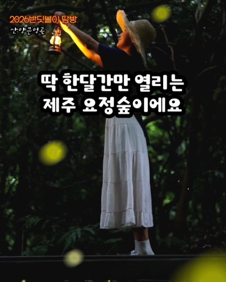 jeju_phototour 게시물 이미지: 딱 한달간 요정의 숲이 열립니다.
제주의 숲에 쏟아져 내리는 반딧불의 향연~~!!...