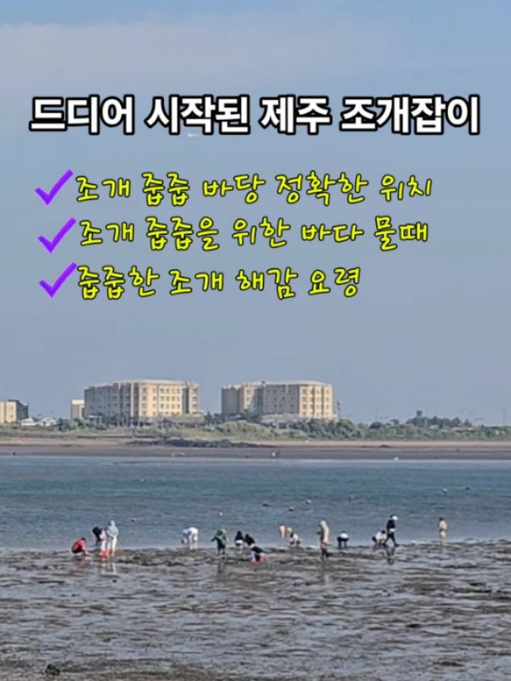 jeju_phototour 게시물 이미지: 제주에서 조개줍줍할 수 있는 유일한 곳! 

지나다 보니 
벌써 조개캐는 사람들이...
