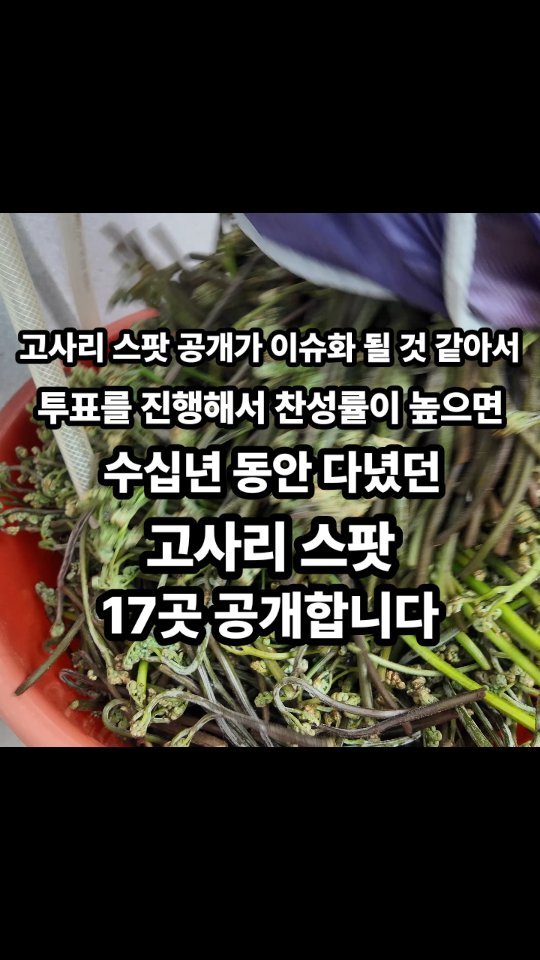 jeju_phototour 게시물 이미지: 제주도에선 일급 비밀이에요~~
누구한테도 알려주지 않습니다. 

저도 저의 최애...