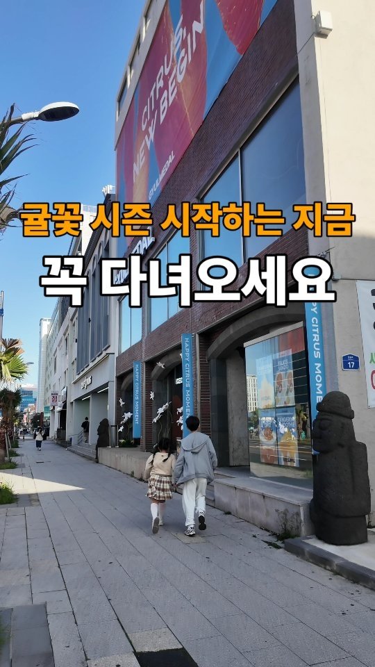 jeju_phototour 게시물 이미지: 귤시즌 시작되는 지금, 꼭 가야하는 곳 

들어가자마자 귤꽃향기 가득하더라고요~...