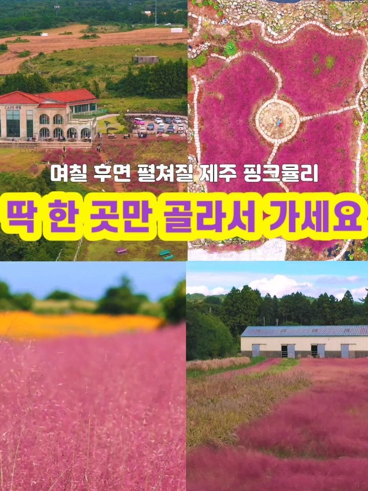 jeju_phototour 게시물 이미지: 여기 전부 가시려고 애쓰지마세요...딱 한곳만 골라서 가셔도 충분합니다....