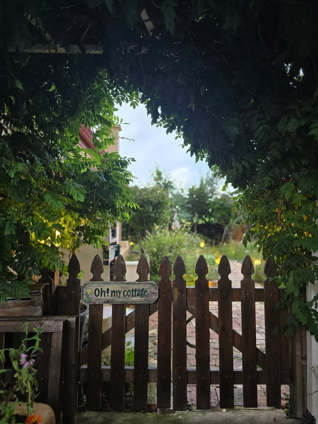 Photo by │담젠│ 제주정보 제주사진여행 제주맛집 on August 13, 2025. May be an image of yellow jessamine and text.