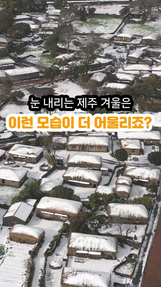 jeju_phototour 게시물 이미지: 눈 내리는 제주 하면....
어떤 모습이 그려지나요? 

아마도 아직도 많은 분들은...