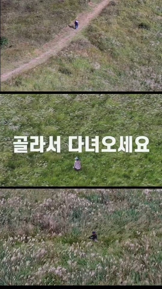 jeju_phototour 게시물 이미지: 억새가 조금만 있는 곳은 소개 안합니다. 바다처럼 넘실대는 곳만 골라서 세 곳...