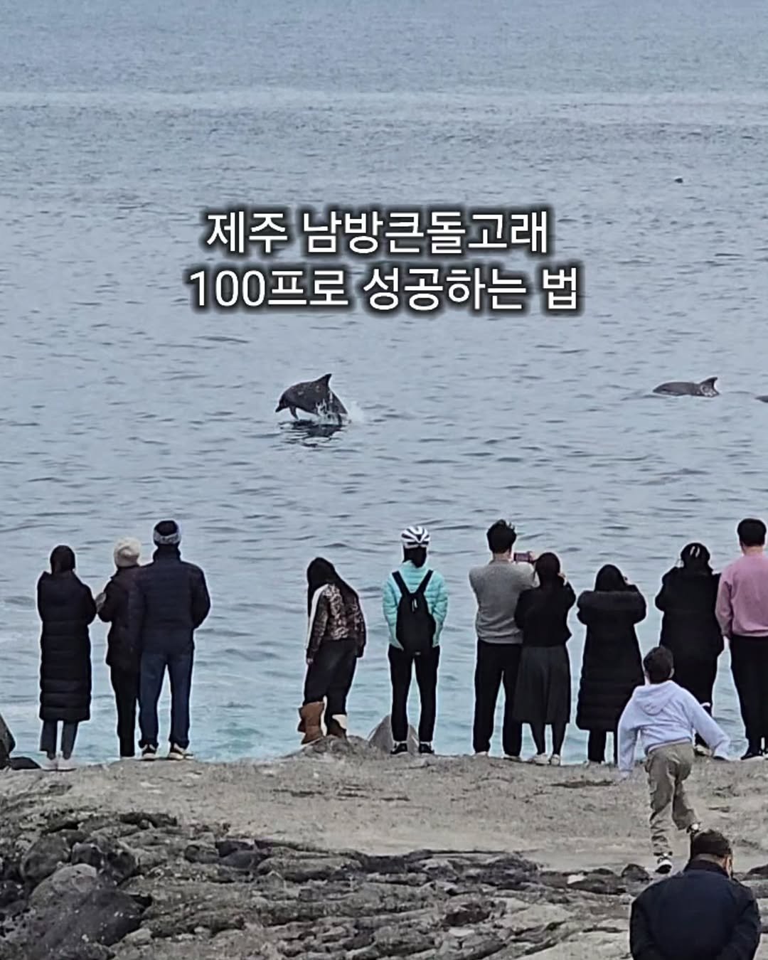 Photo by ￨담젠￨ 제주정보 제주여행 제주맛집 on January 15, 2026.