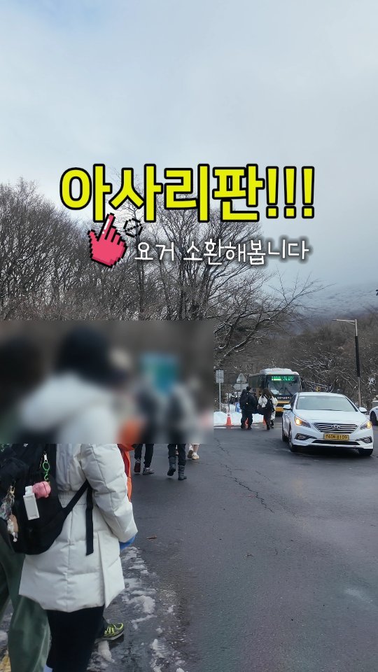 jeju_phototour 게시물 이미지: 이 난리통~ 버스기사들은 알텐데요, 누구하나 윗선에 보고도 안합니까? 아니면...