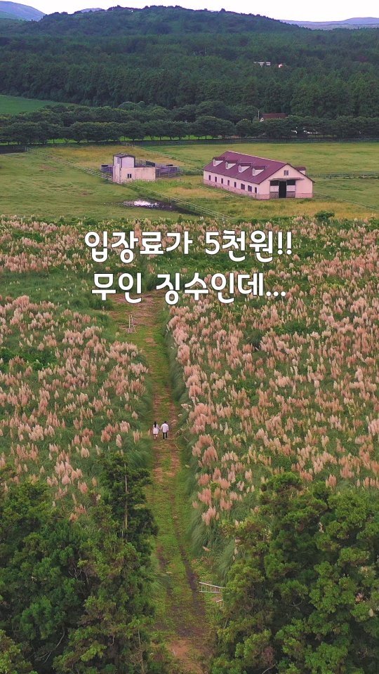 jeju_phototour 게시물 이미지: 입장료 5천원인데, 입장 안하고 드론만 띄운거라 내야 하나 말아야 하나 고민하다가...