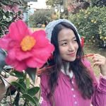 jejudaek_sua 프로필 사진
