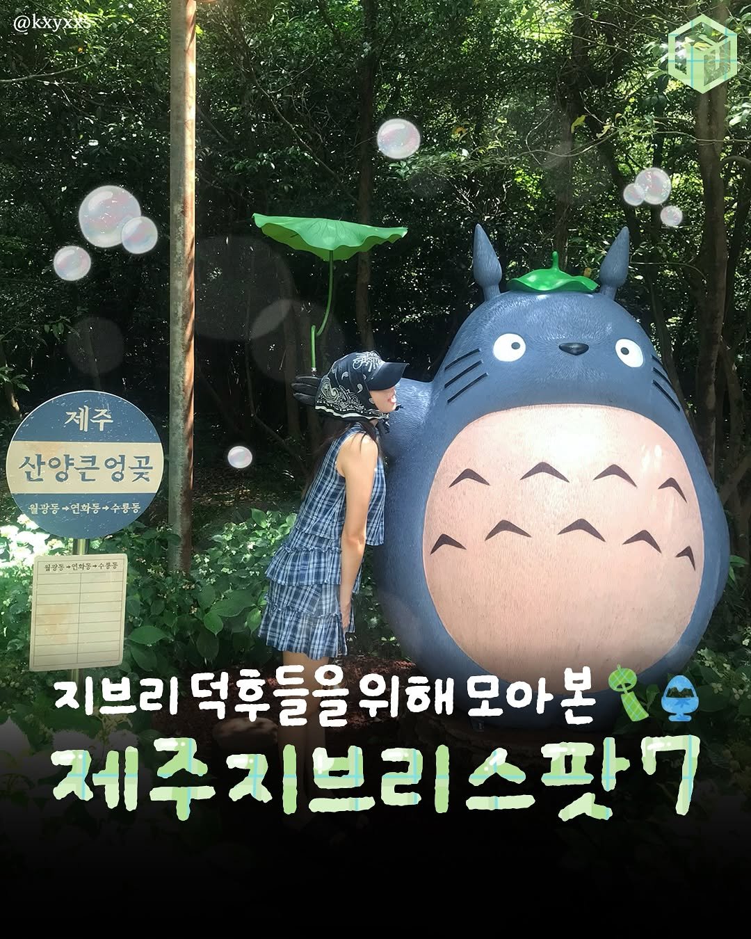 Photo by 제주 톡톡[제주맛집/ 제주여행/ 제주카페/ 제주숙소/제주 핫플] on July 26, 2025. May be an image of 1 person and text that says '@kxyxks @kxyx 제주 산양큰엉꽃 월광동+연화동+수름큼 월광동 동+수름물 실감성 변혁들이수환통 지브리 덕후들을 위해 모아본 제주 제주지브리스팟7 스팟7'.