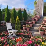 jejumanorblanc 프로필 사진