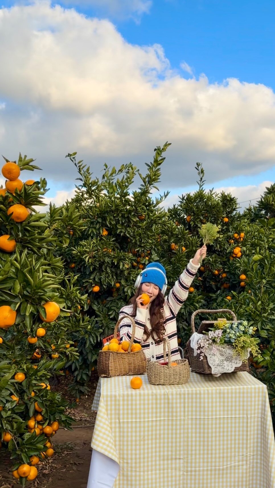 jeju_tourism_association 게시물 이미지: 이번 겨울, 따스한 이불 속에서 귤 까먹는 상상 다들 하지? 🍊
지금이 딱! 12월...
