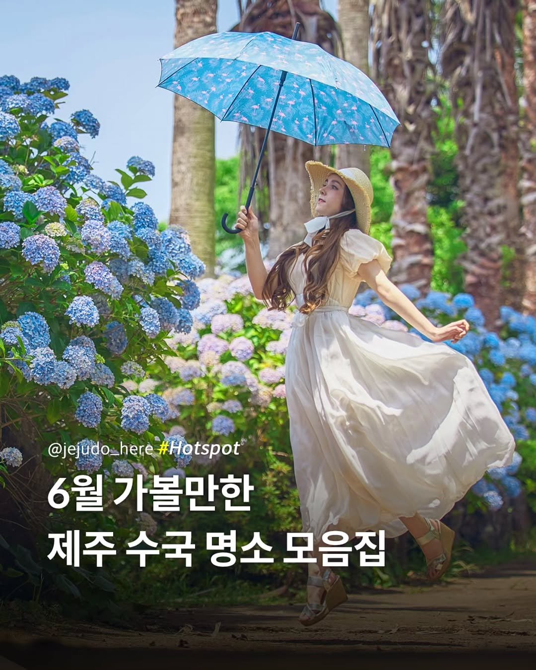 jejudo_here 게시물 이미지: 🏷 저장 필수, 33곳 🌺
올해 가볼 만한 제주 수국명소 33곳을...