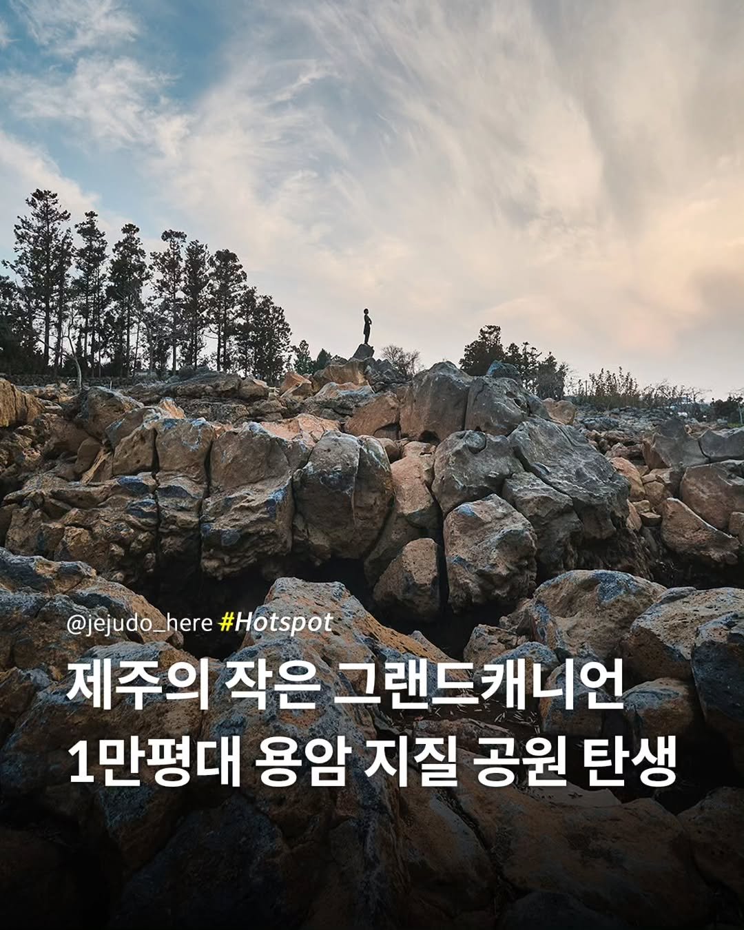 Photo by 제주도여기 | 제주도 대표 인스타그램 on March 29, 2026. May be an image of text that says '福 認'.