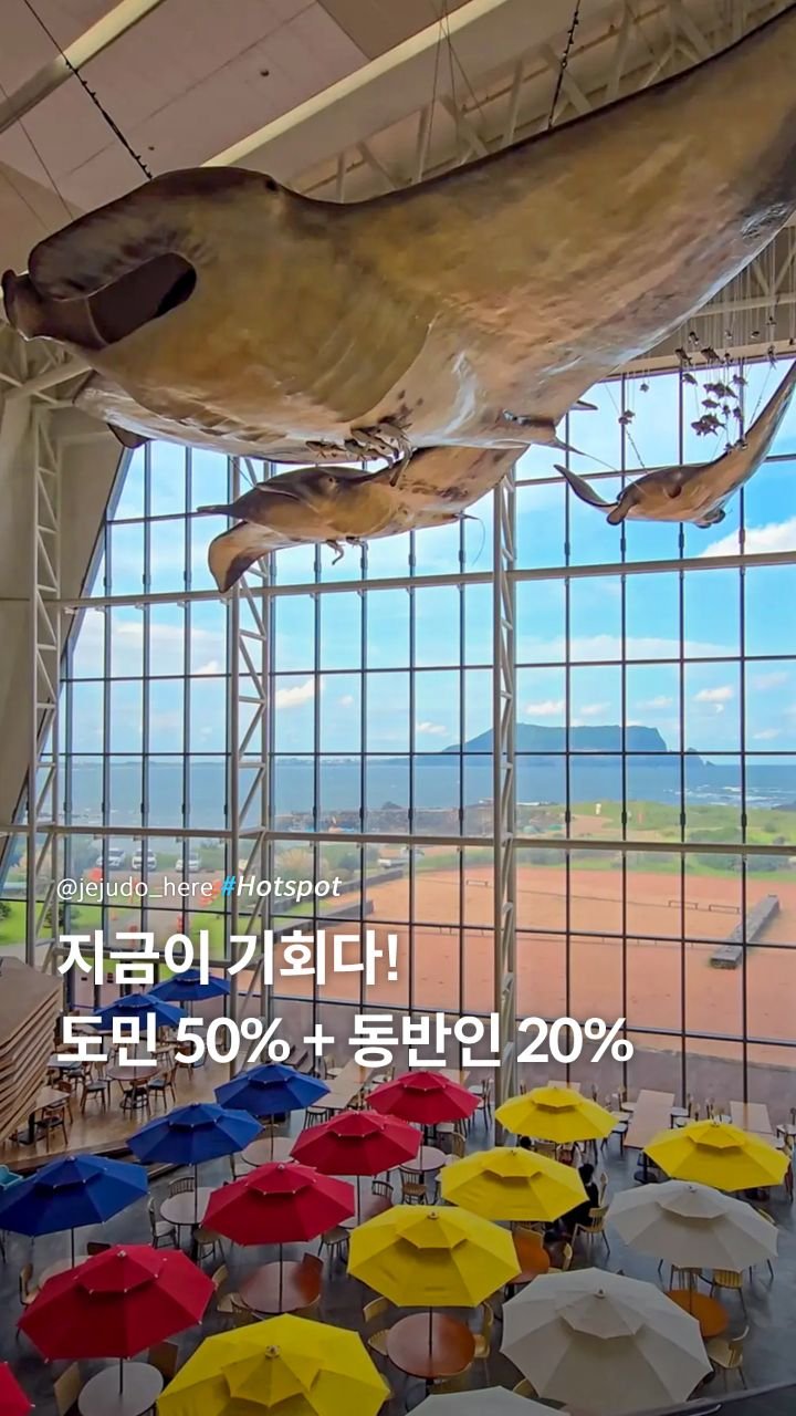 jejudo_here 게시물 이미지: #제작비지원 놓치면 후회 할 또 한번의 기회! 아쿠아플라넷 제주의 특별 프로모션...