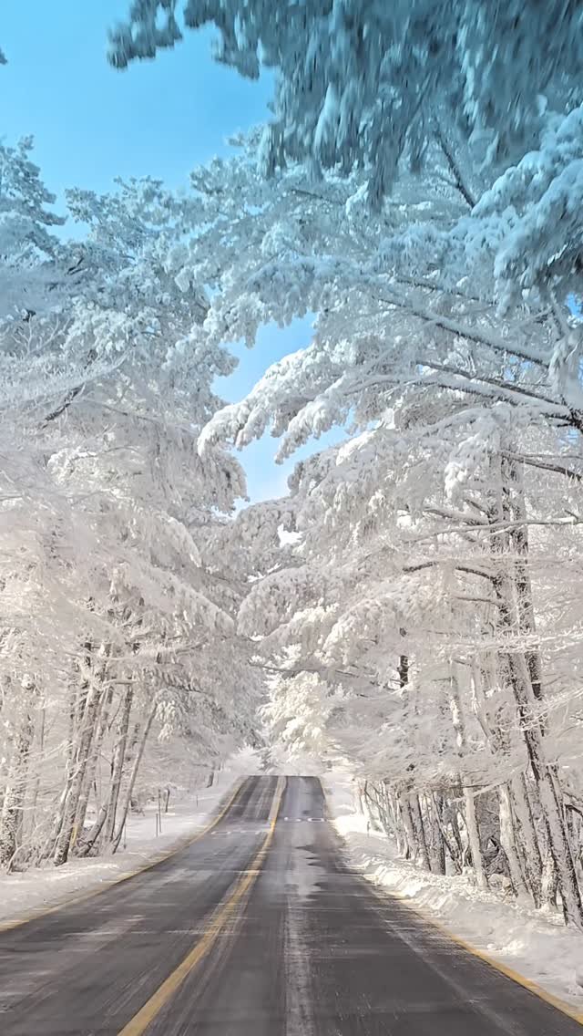 jejudo_here 게시물 이미지: 현시점 제주에서
제일 아름다운 도로는 여기 ☃️❄️

햇빛의 반짝거림까지 예술이...