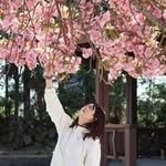 alohani_94 프로필 사진