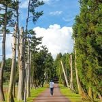 1052da.jeju 프로필 사진