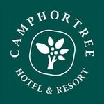 camphortree_jeju 프로필 사진