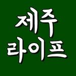 jejumat 프로필 사진