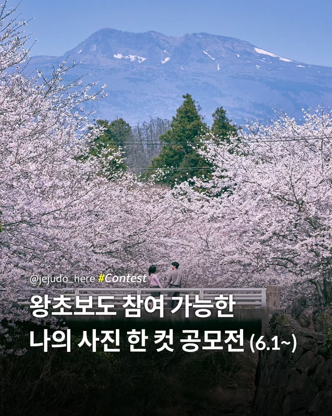 jejudo_here 게시물 이미지: 왕초보도 참여 가능한
쉬운 사진 공모전 소식을 전해드릴께요. 😃

📷 제주에...