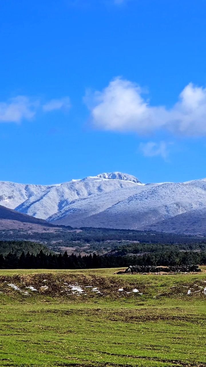 jejudo_here 게시물 이미지: (실시간) 오늘 오후 제주는
스위스 알프스가 따로 없습니다. ❄️

어제 눈 그치고...