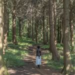 jeju_angel_travel 프로필 사진