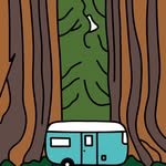 secretforest75 프로필 사진