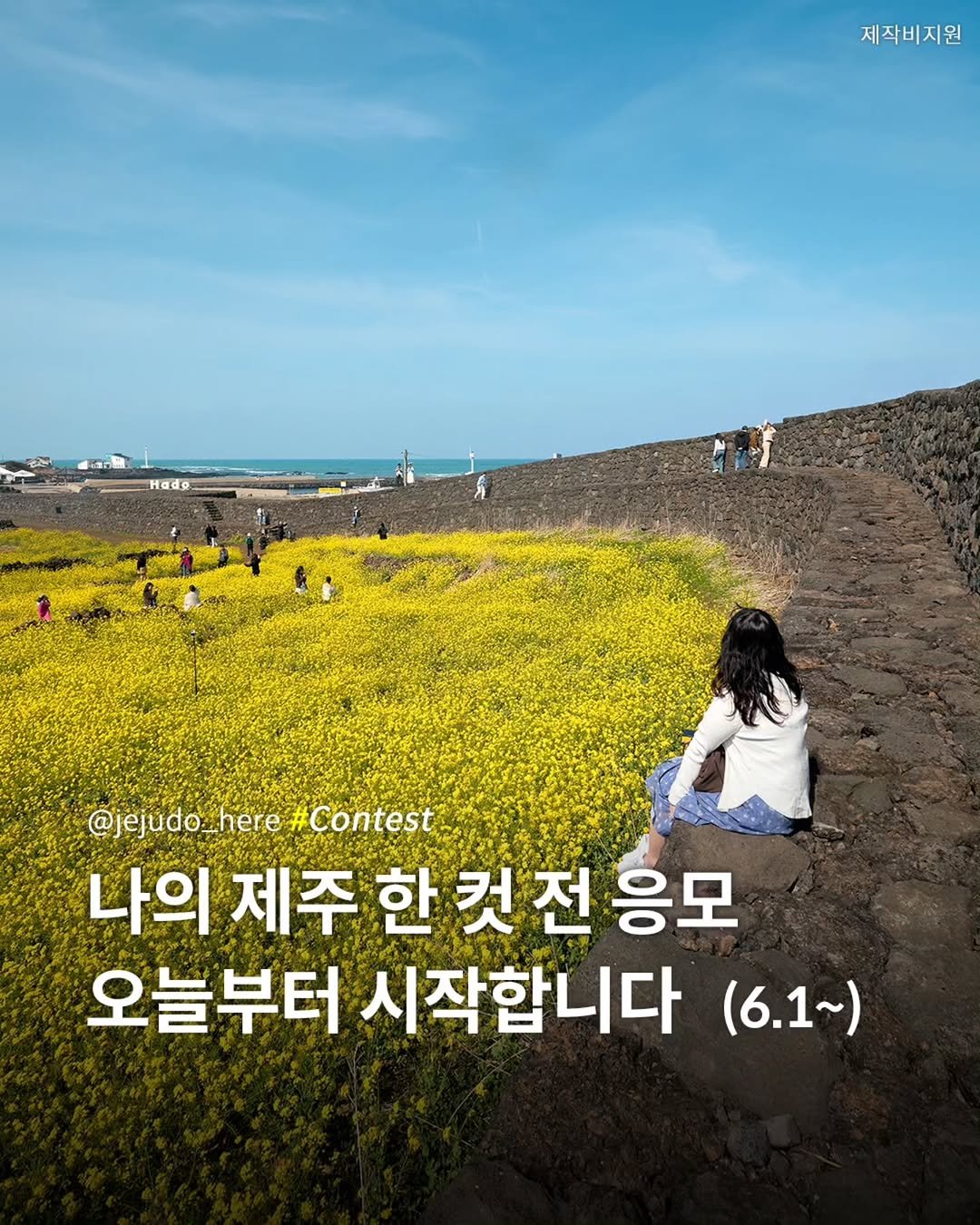 jejudo_here 게시물 이미지: '나의 제주 한 컷 전'이
오늘부터 응모.접수를 시작합니다. 😃

🎁 응모기간 :...