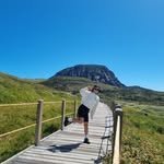 jeju_soyoung 프로필 사진