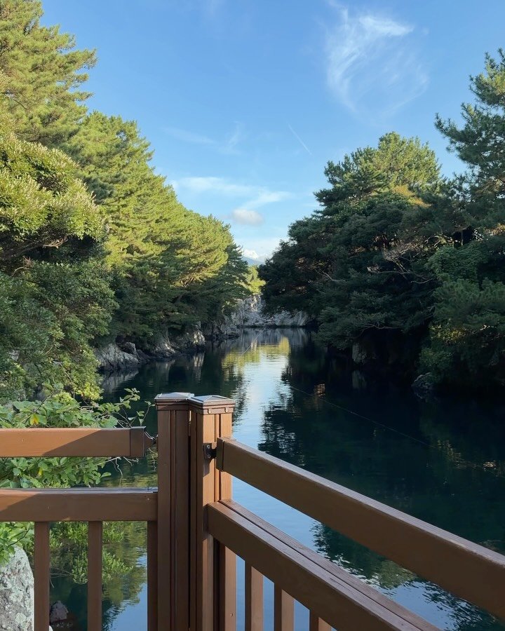 jejumini 게시물 이미지: (실시간) 화창한 일요일 아침 #쇠소깍 산책 나왔어요

어제와 달리 바람 한 점...