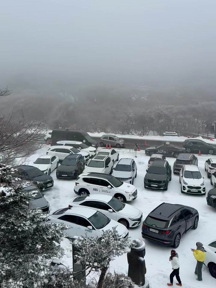 jejumini 게시물 이미지: (실시간) 1100고지 교통 통제 상황 안내🚫

📸촬영: @lovepooky...