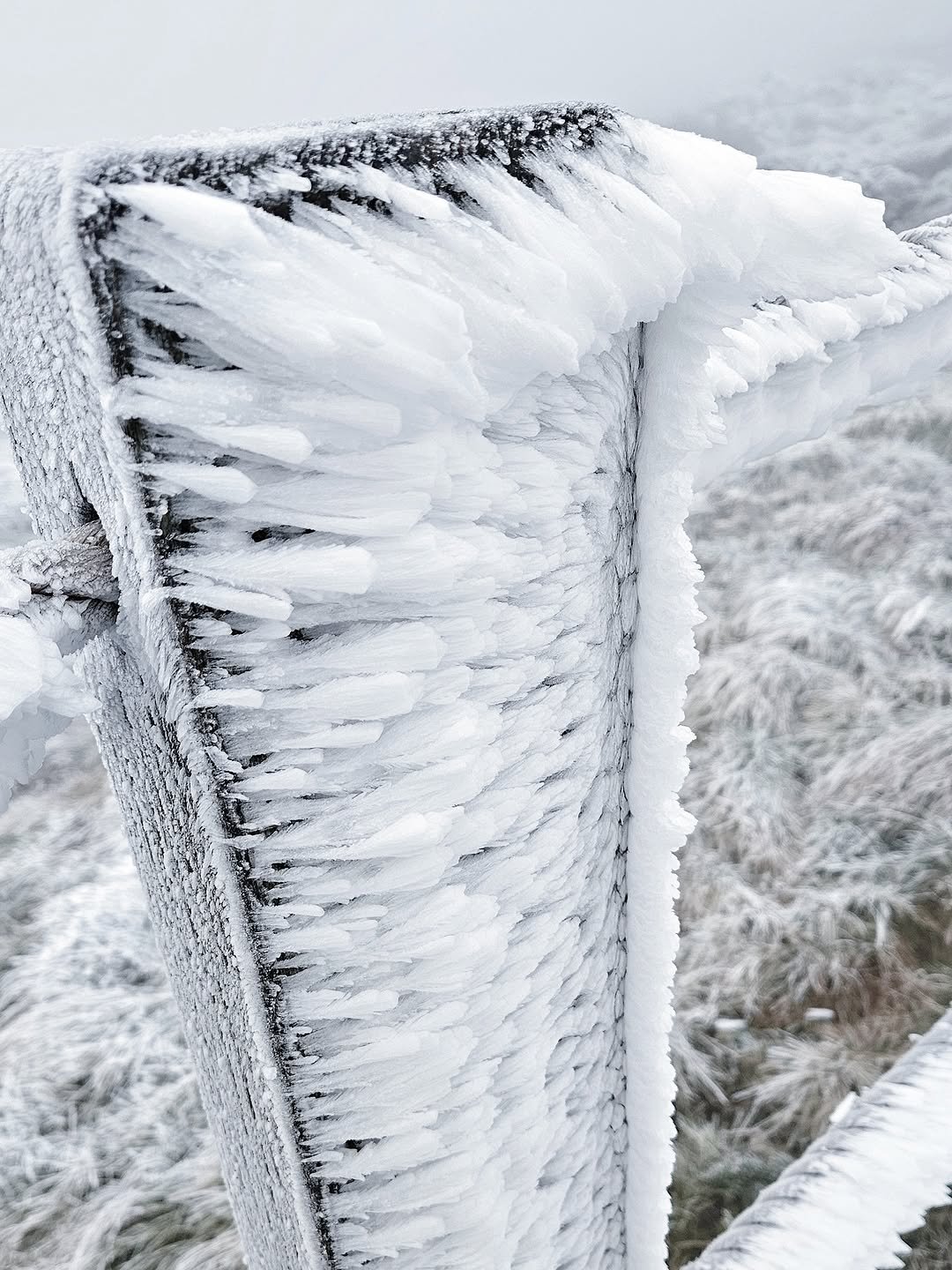 Photo by 제주미니 on October 27, 2025. May be an image of text.