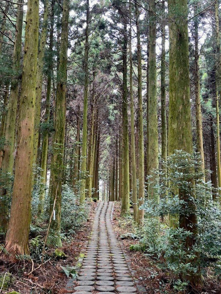 jejumini 게시물 이미지: (실시간) 비 내리고 안개낀 제주

화이트크리스마스를 기대하기에는
날씨가 따듯해 비...